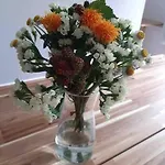 Artist Studio - - Prenzlauer Berg アパート ベルリン