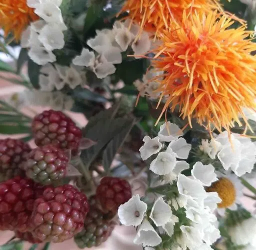 Artist Studio - - Prenzlauer Berg Berlijn