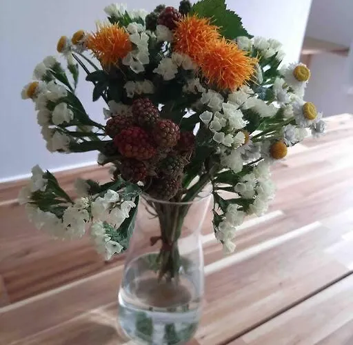 Artist Studio - - Prenzlauer Berg Apartament Berlin