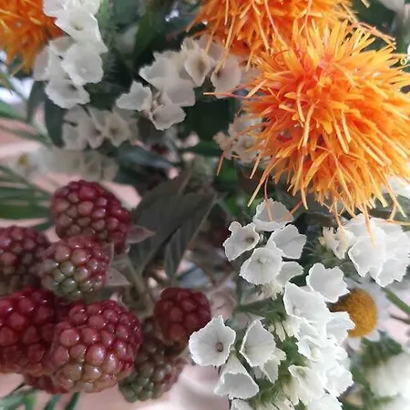 Artist Studio - - Prenzlauer Berg Berlin