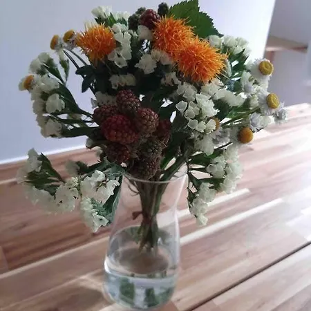 Artist Studio - - Prenzlauer Berg Apartment Berlin