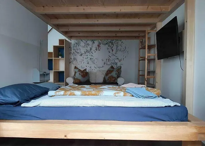 Apartamento Artist Studio - - Prenzlauer Berg Berlín